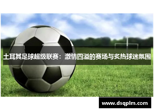 土耳其足球超级联赛：激情四溢的赛场与炙热球迷氛围