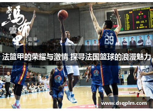 法篮甲的荣耀与激情 探寻法国篮球的浪漫魅力